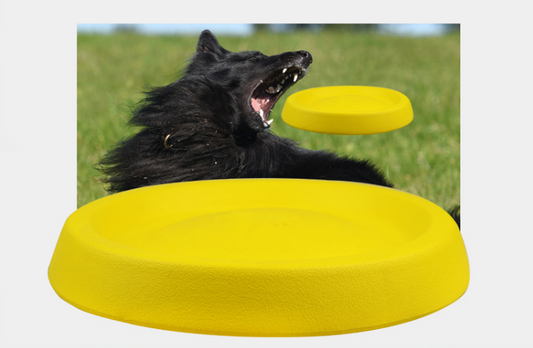 Frisbee para jugar, también apto para jugar con perros
