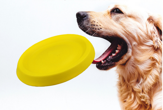 Frisbee para jugar, también apto para jugar con perros
