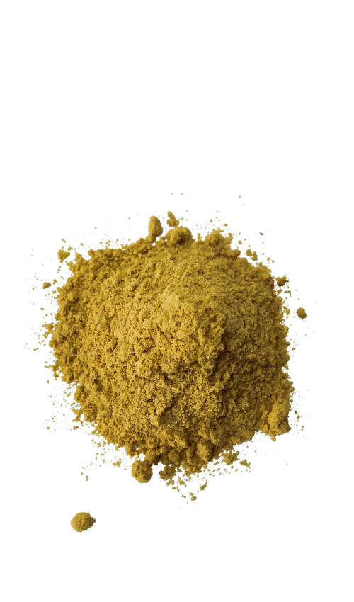 Bio-Ingwerpulver aus Nigeria mit Baobab (90g) – Würzig-scharfe Gewürzmischung | africrops! GmbH