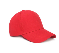 Gorra de béisbol Unisex de Nueva Zelanda, Color sólido, 6 paneles