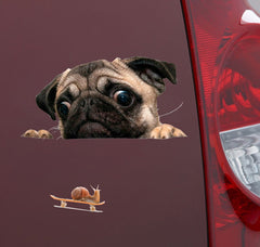 Vinilo decorativo para ventana de coche caracol con aspecto de pug 3D