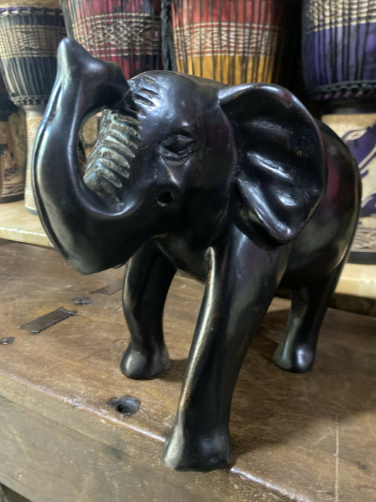Elephant Trunk Up