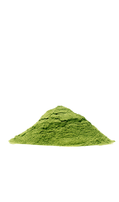 Bio-Moringapulver aus Gambia und Namibia (100g) – 100% reines Superfood | africrops! GmbH