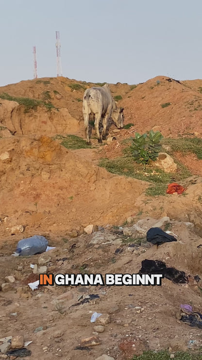Sac à main africain coloré, sac fait main avec un caractère affirmé et son éventail assorti